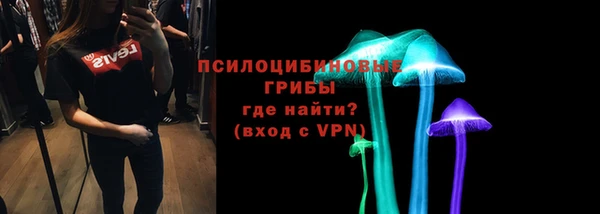 соль ск Белокуриха