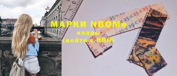 бошки Краснослободск