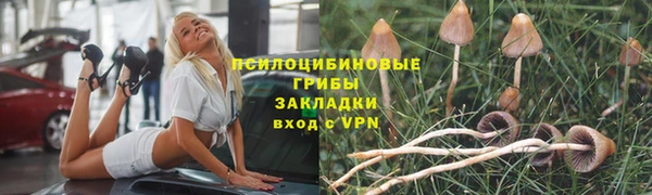 соль ск Белокуриха