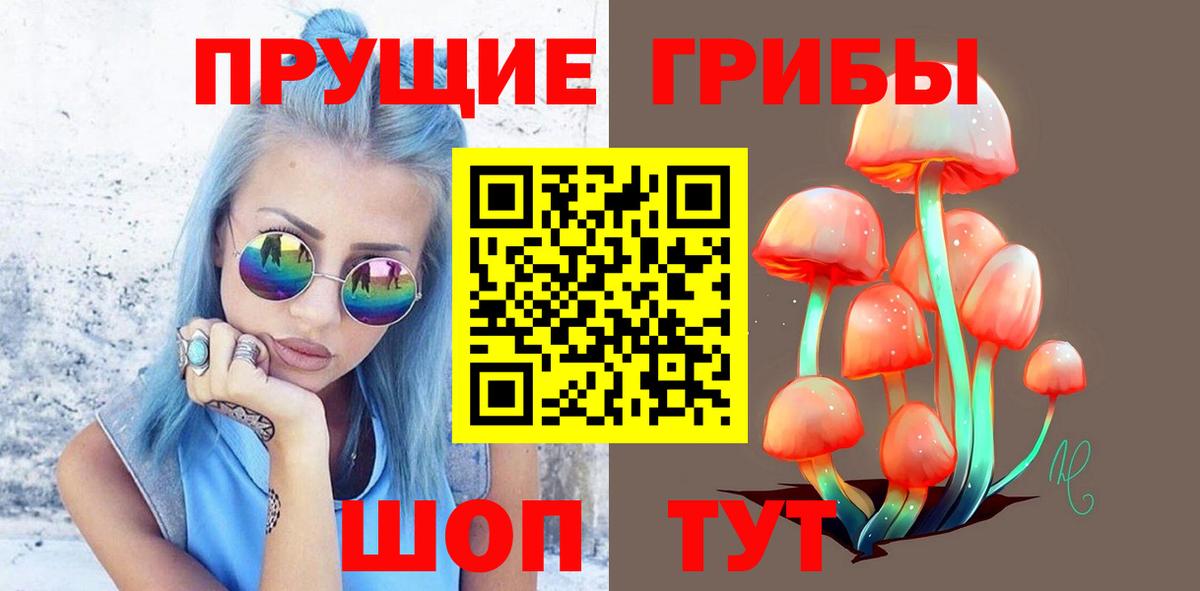 Галлюциногенные грибы Psilocybe Бор