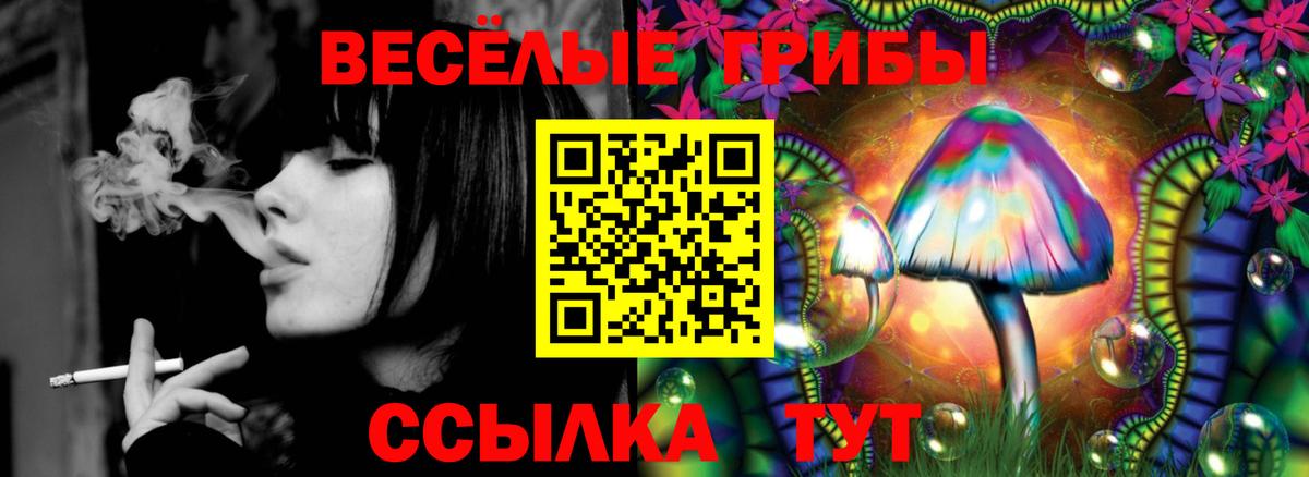 Галлюциногенные грибы Cubensis  Псилоцибиновые грибы Psilocybe  Бор  Вход с VPN 