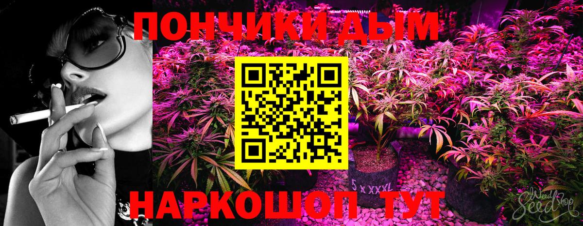 Конопля OG Kush Бор